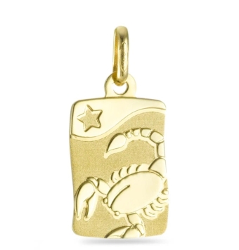 COLGANTE HORÓSCOPO ESCORPIO ORO AMARILLO 18 KILATES RECTANGULAR 11X15 MILÍMETROS MATE/BRILLO